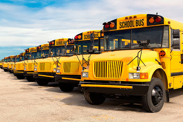Pictur of Buses